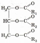 ������ � �������� ����� ����� ���� �������� ����� ��������