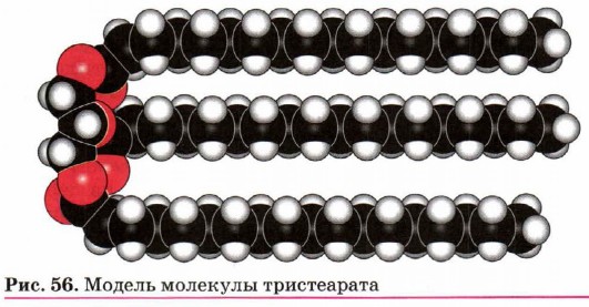 ������ �������� �����������