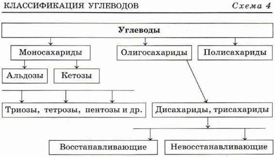 ������������� ���������