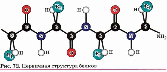 ��������� ��������� �����