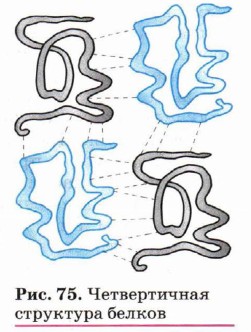 ������������ ��������� ������