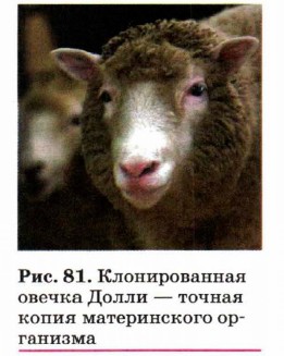 ������������� ������ ����� � ������ ����� ������������ ���������