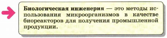 ������������� ���������