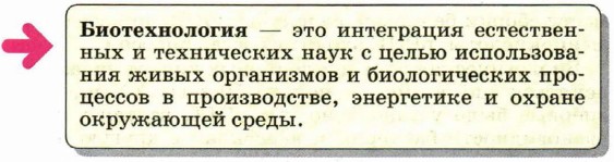 ������������� � ��� ���������� ������������ � ����������� ����