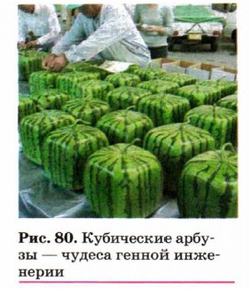 ���������� ������ � ������ ������ ���������