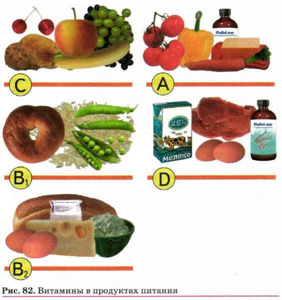 �������� � ��������� �������