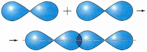 �������� �����