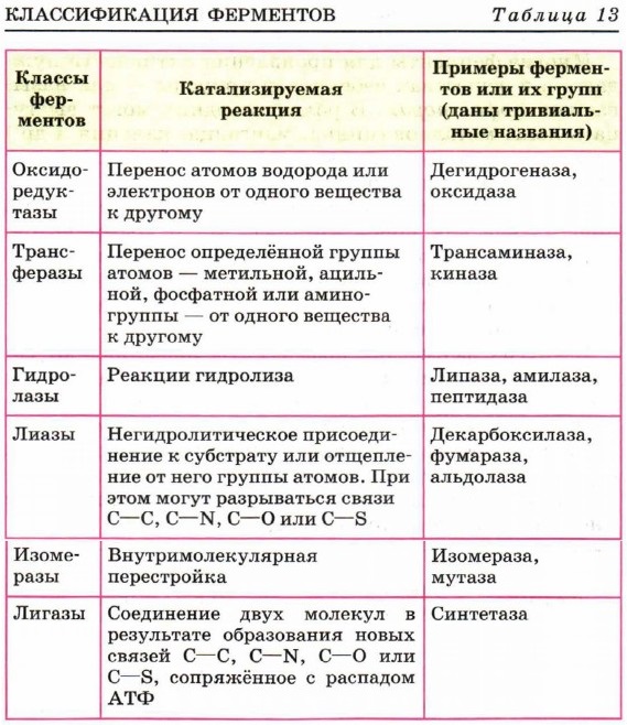 ������������� ���������