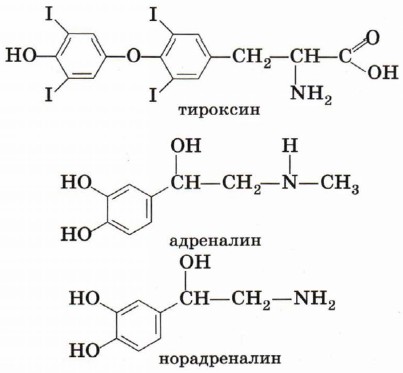 ����������� �����������