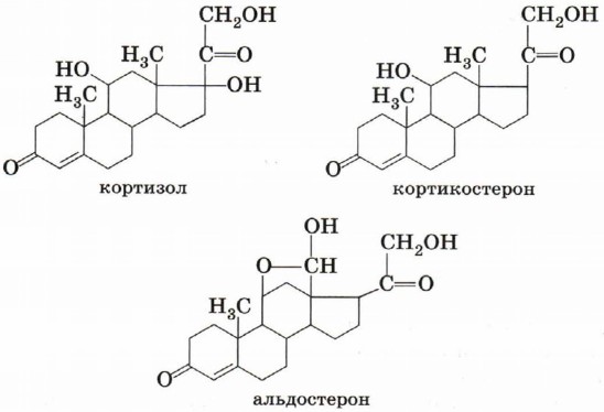 ������ ������� ��������, � ��������� ��������� � ������� ���� �������������, �����, ��������, ��� ��������, ������������� � �����������