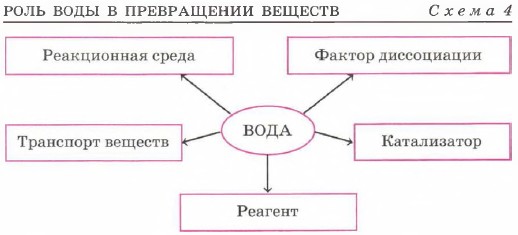 ���� ���� � ����������� �������