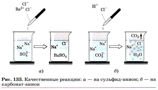 ������������ �������: