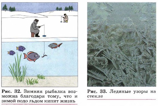 ������ �������