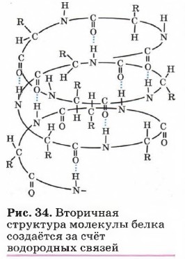 ��������� ��������� �������� ����� �������� �� ���� ���������� ������