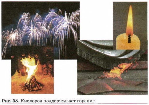 �������� ������������ �������