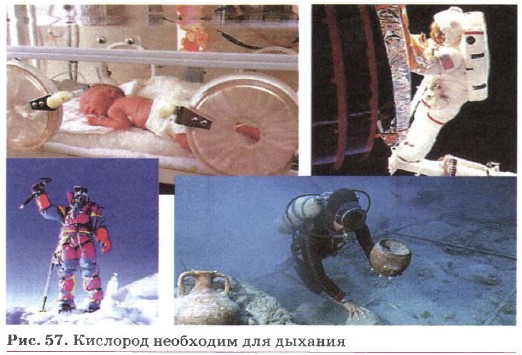 �������� ��������� ��� �������