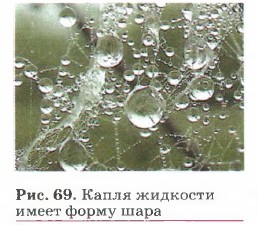 ����� �������� ����� ����� ����