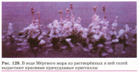 � ���� ̸������ ���� �� ����������� � ��� ����� ��������� �������� ����������� ���������