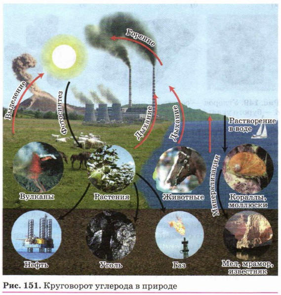 ���������� �������� � �������