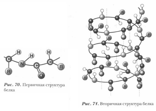 ��������� �����