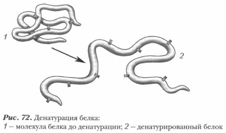 ����������� �����