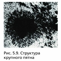 ��������� �������� �����