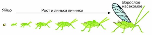 ��������� � �������� ������������