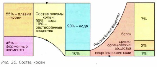 ������ �����