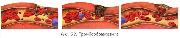 �����������������