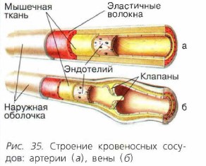 �������� ����������� �������