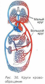 ����� ��������������