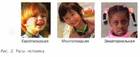 ���� ��������