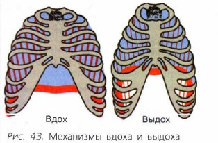 ��������� ����� � ������