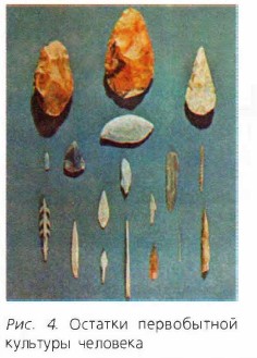 ������� ����������� �������� ��������