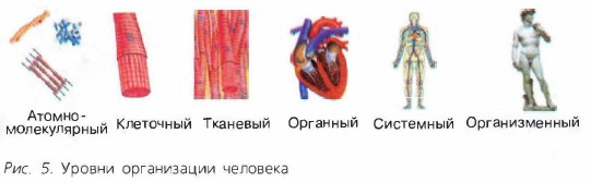 ������ ����������� ��������