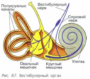 ������������� �����