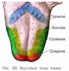 �������� ���� �����