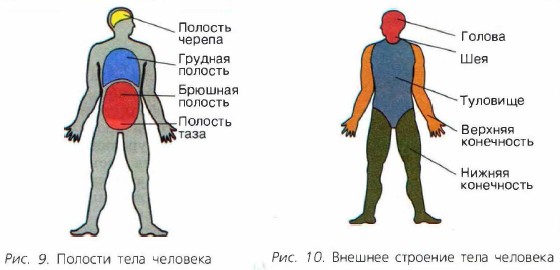 ������� ���� ��������