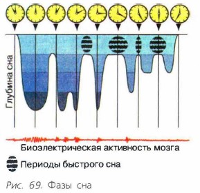 ���� ���