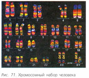 ����������� ����� ��������