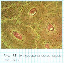 ���������������� c�������
�����