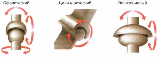 ������������� ��������