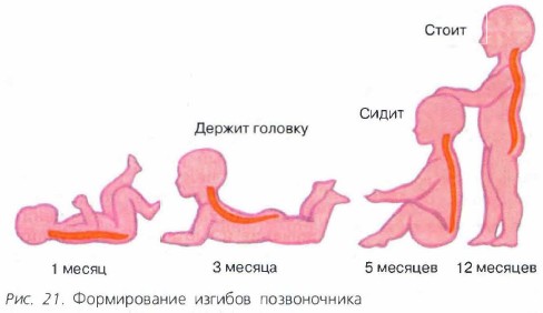 ������������ ������� ������������