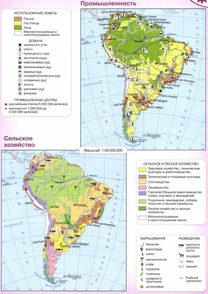 ����� �������: ��������������. �������� ���������