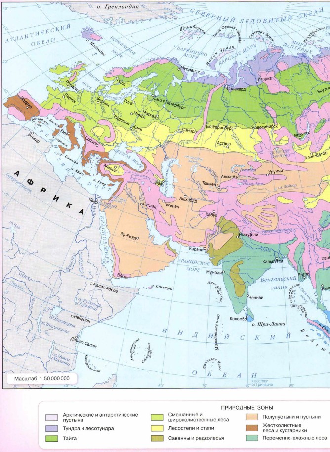 ��������� ���� �������