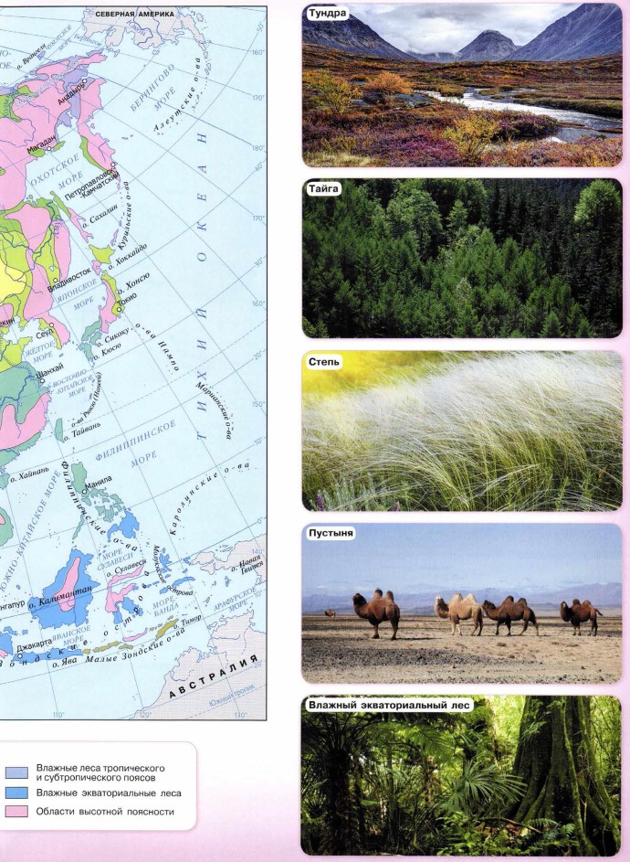 ���� �������