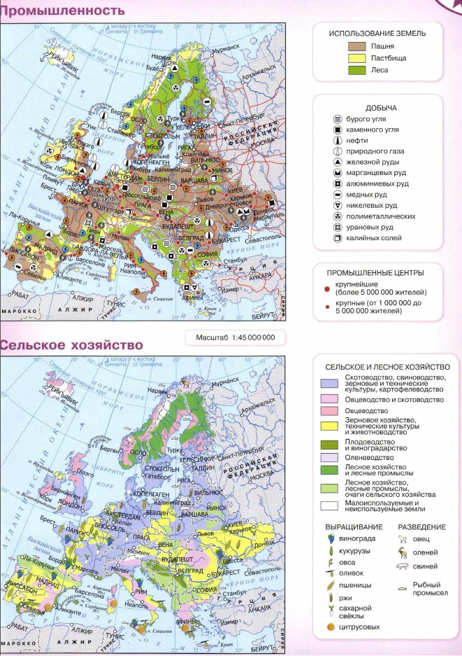 ���������� ������: ��������������. �������� ���������