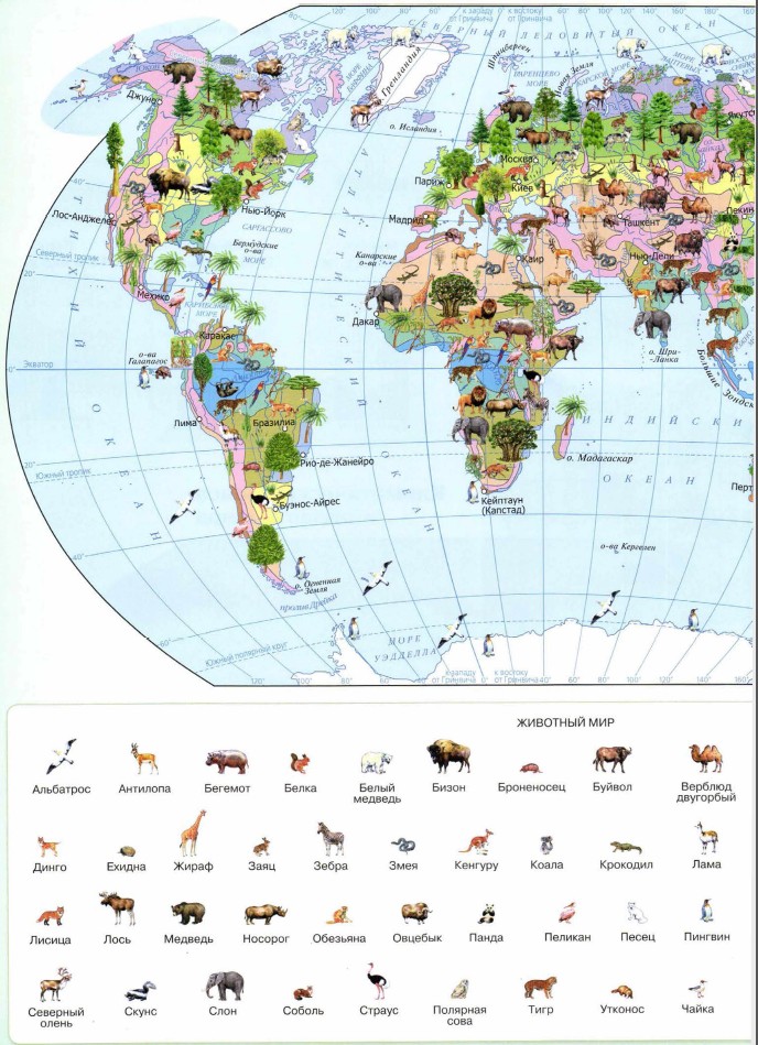 ��������� ���� ����