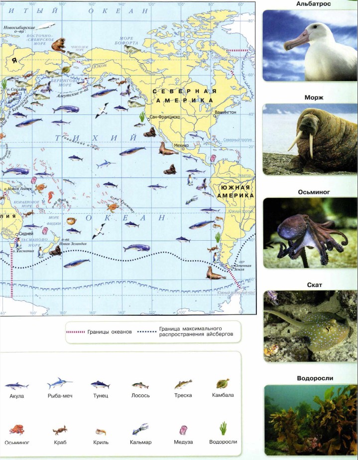 �������� ��� ������