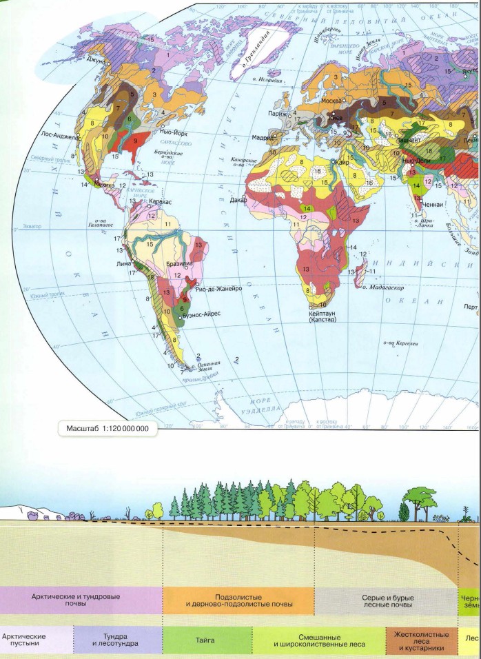 ��������� ����� ����